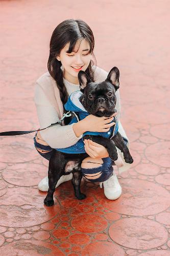 古装剧大全古装电视剧免费观看