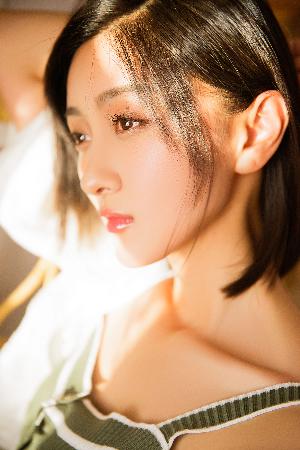 树影迷宫电视剧免费高清观看全集