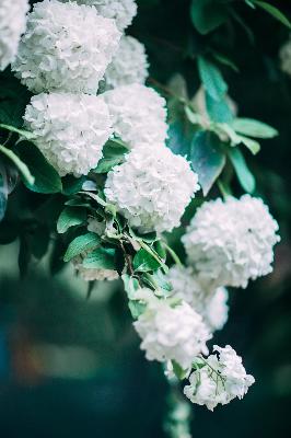 乔梁叶心仪超前更新