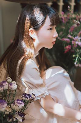 珠帘玉幕电视剧免费观看完整版