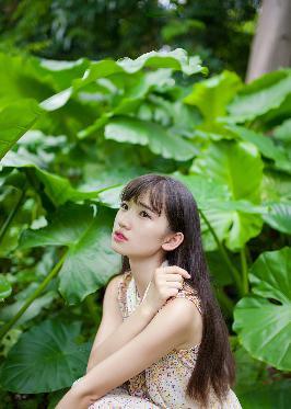 朝雪录电视剧免费观看全集高清