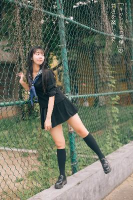 雪豹电视剧全集免费观看完整版