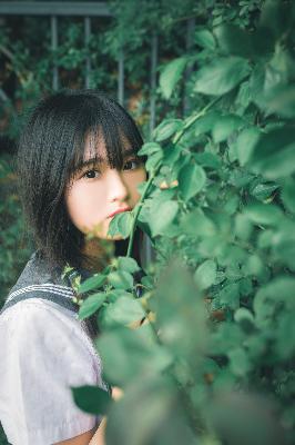 剑来第二季在线观看免费完整版