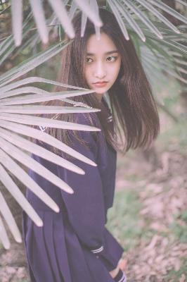 国产免费高清在线观看电视剧大全