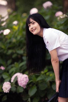 珠帘玉幕电视剧免费观看完整版