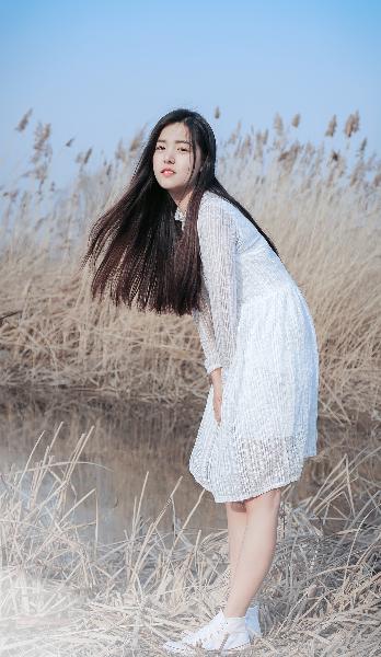 那年花开月正圆免费观看全集