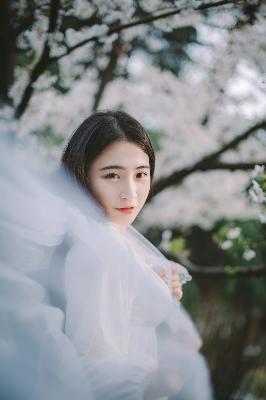 完美世界全集在线观看