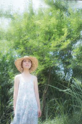 斗破苍穹年番免费动漫高清