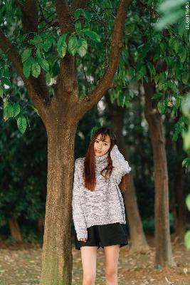 唐朝诡事录电视剧在线观看免费完整版