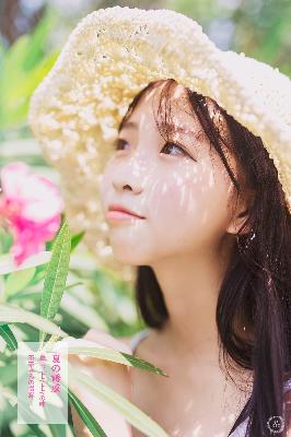 鸡毛飞上天电视剧全集免费