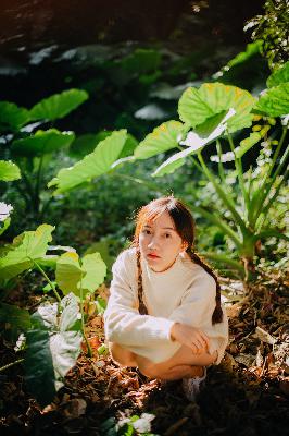 如懿传在线看全集免费观看高清