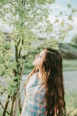 国产免费观看高清电视剧大全