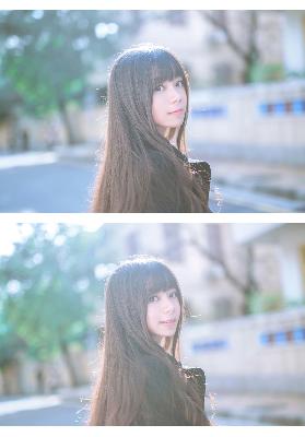 成人动漫在线观看