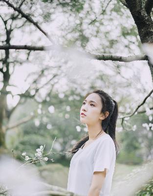 777米奇四色眼影888