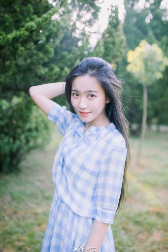 入青云电视剧免费观看全集完整版