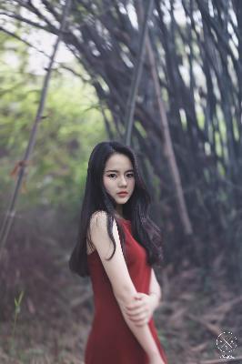 志愿军3浴血和平