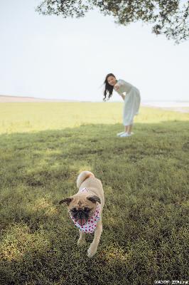 欢迎进入梦魇直播间