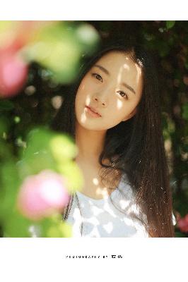 俄罗斯引擎YANDEX进入